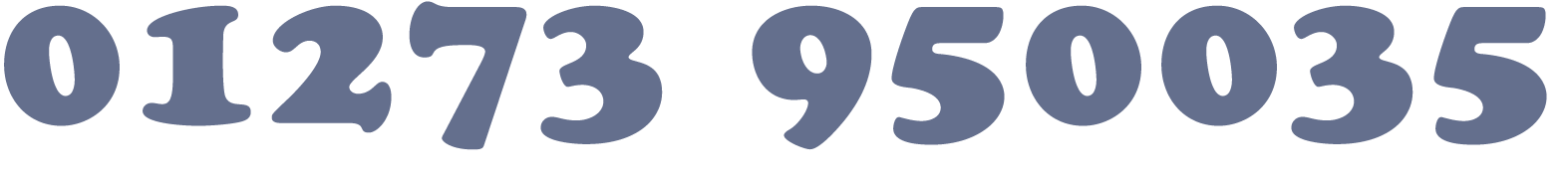 Phone Number 01273 95 00 35